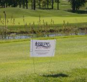 #38 Sponsor-BRPC