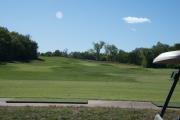 #6 Winterstone